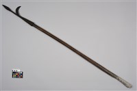 藏品(木鎗(帶棘))的圖片